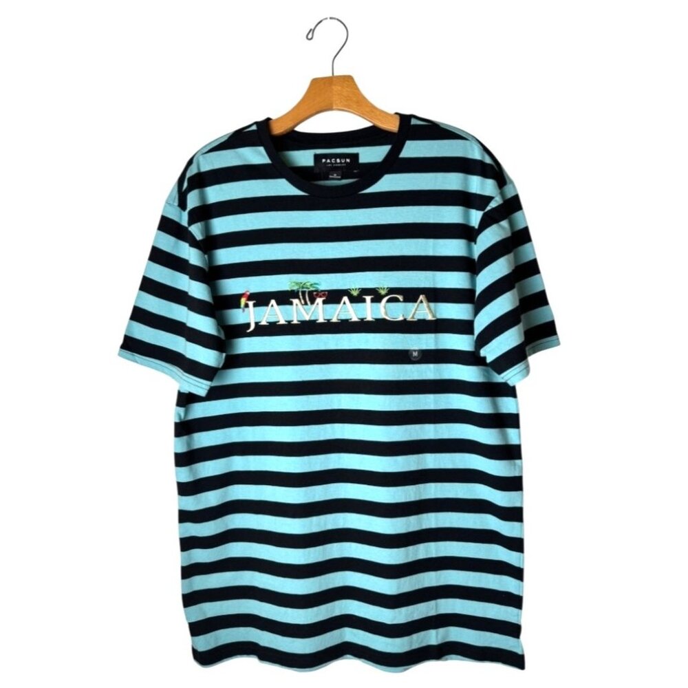 Pacsun Shirt‎ Men Medium Blue Cotton Striped Embroidered Short Sleeve Tee NWT